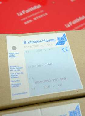 @E+H FTC968-AC 恩德斯豪斯全新电容式物位计 FTC 968 918098-000