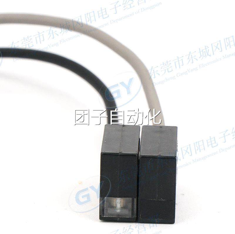 现货竹中/TAKEX透过型