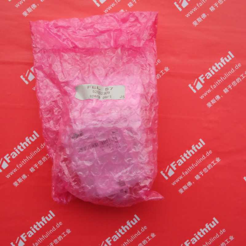 @E+H 52002309 恩德斯豪斯全新音叉式物位计插件 FEL57 FPM询价