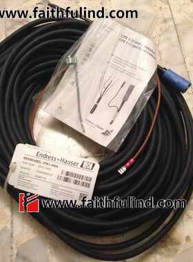 @E+H 50085776 恩德斯豪斯全新PH电极 CPK1-300A 30米询价