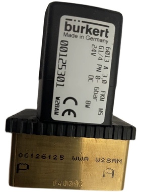 burkert6013 A电磁阀00125304原装正品宝德电磁阀00125301询价