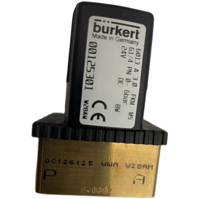 burkert6013A电磁阀0