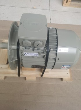 西门子电机1LE1003-1DA33-4FA4-Z15KW2极立式进口异步交流电动机