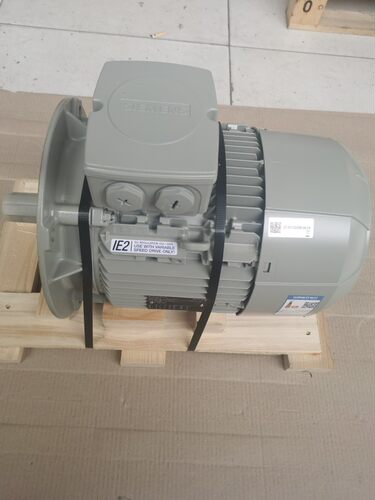 西门子电机1LE1003-1DA33-4FA4-Z15KW2极立式进口异步交流电动机