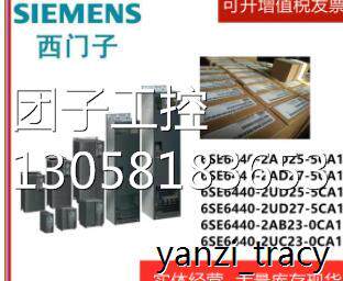 西门子6SL3120-2TE21-