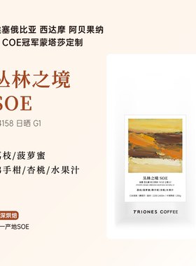 埃塞西达摩阿贝果纳 COE冠军 丛林之境SOE 中深烘 精品意式咖啡豆