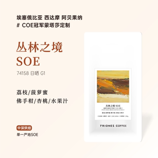 埃塞西达摩阿贝果纳 COE冠军 丛林之境SOE 中深烘 精品意式咖啡豆