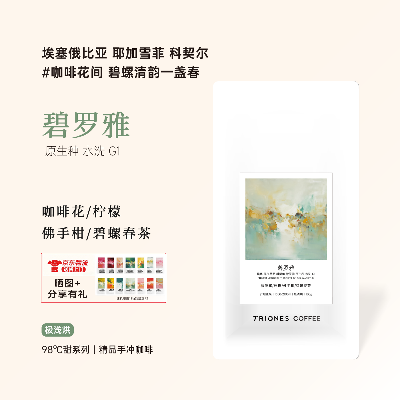 埃塞 耶加雪菲 科契尔 碧罗雅 水洗 柒号产地直采 精品手冲咖啡豆