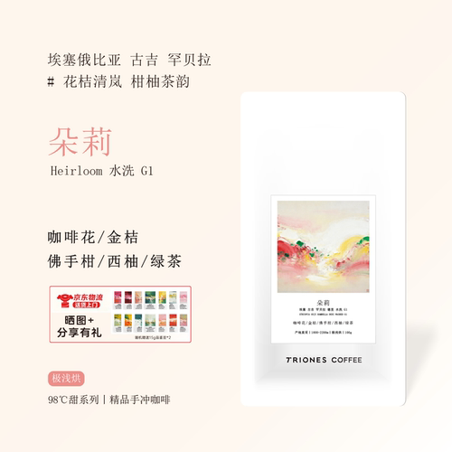 埃塞 古吉罕贝拉 朵莉 新鲜烘焙口粮豆 极浅烘精品手冲咖啡豆