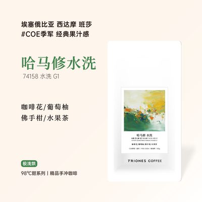 埃塞 西达摩 班莎 COE季军哈马修 水洗 柒号精品手冲咖啡产地直采