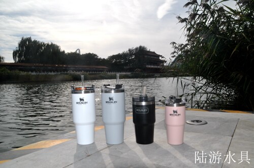 街头时尚便携保温吸管杯