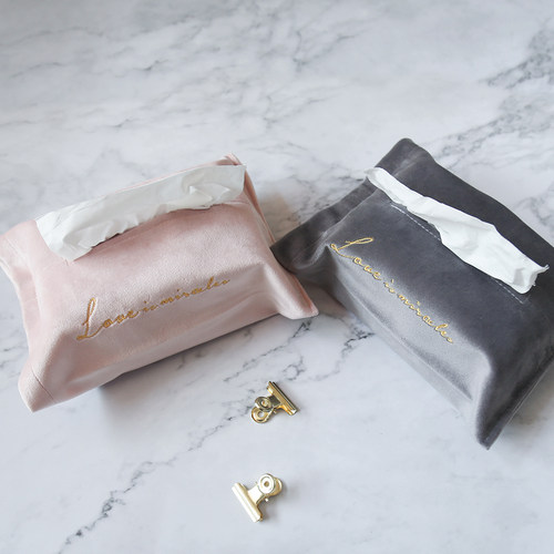 北欧ins家用客厅车挂式纸巾盒