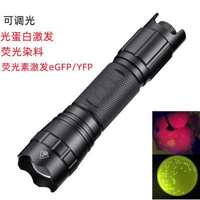 荧光蛋白激发光源GFP/eGFP/YFP/Dsred/mRFP/mCherry/ANS 荧光素