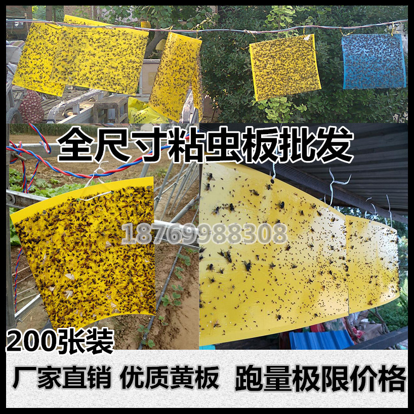 粘虫王品牌粘虫板诱虫板双面黄板其它园艺用品