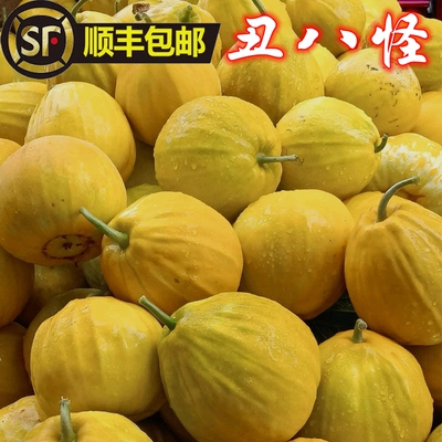新鲜丑八怪香瓜黄皮瓜脆甜顺丰5