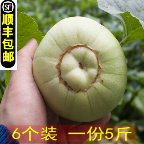 新鲜香瓜绿宝石白皮顺丰5斤包邮