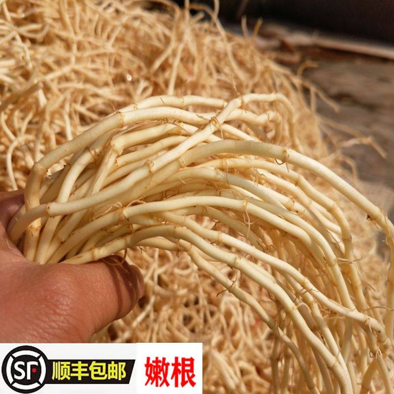 鱼腥草新鲜折耳根凉拌现挖嫩根野生节儿根2斤装侧耳根新鲜鱼星草,传统滋补营养品,鱼腥草,淘宝优惠券,粉丝福利购,淘宝优惠卷