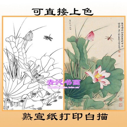 H145俞致贞荷花熟宣纸工笔画白描底稿印刷品可直接上色线描条幅