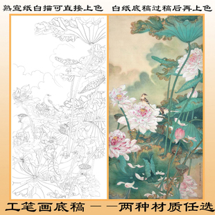 H18任重菡萏覆华池熟宣纸工笔画白描底稿上色荷花线描四六尺条幅