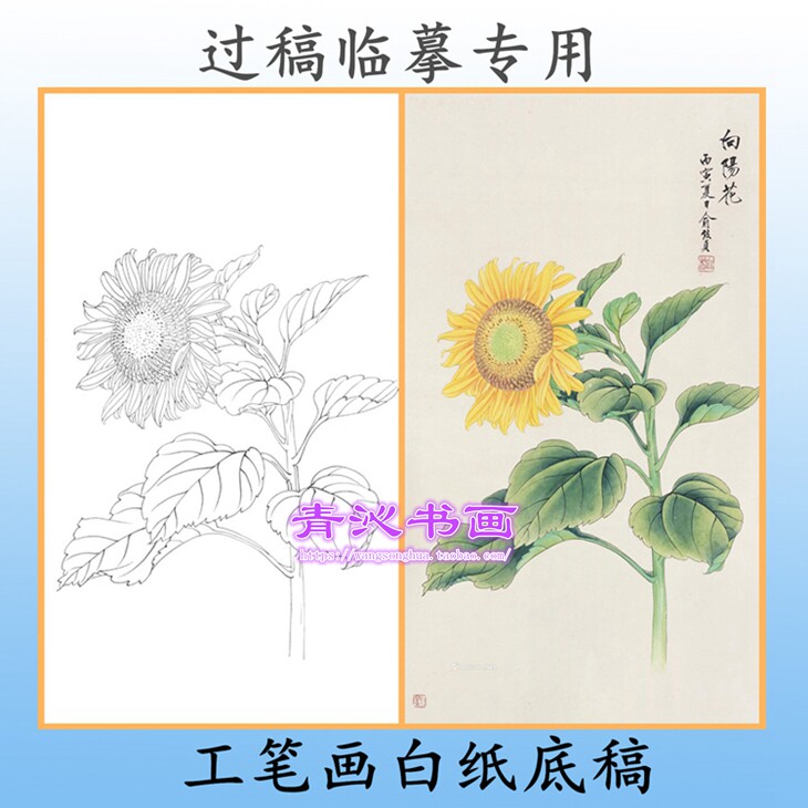 z45俞致贞向日葵作业画工笔画白描底稿实物线描稿初学条幅