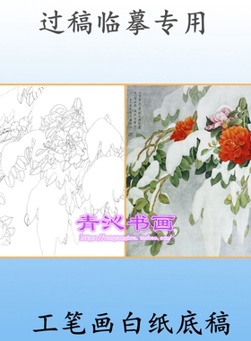 N184花鸟工笔画白描白纸底稿线描画茶花雪景周中耀斗方国画稿