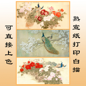 D15孔雀动物熟宣纸工笔画白描底稿线描画稿可直接上色条幅