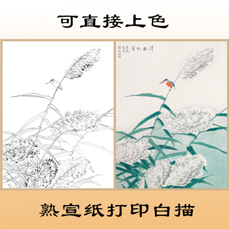 n282花鸟芦苇翠鸟花鸟熟宣纸白描底稿线描国画稿可直接上色条幅