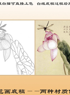 工笔画白描底稿荷花上色喻慧