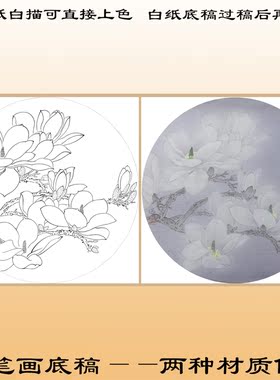 玉兰扇面工笔画白描底稿熟宣纸稿