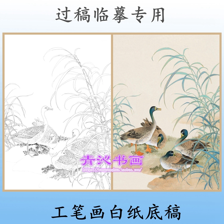 n277芦苇野鸭花鸟工笔画白描底稿白纸线描国画稿过稿临摹专用条幅