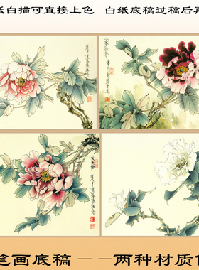 工笔画白描底稿上色牡丹宣纸画稿