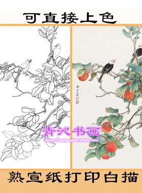 N222田世光柿子白头翁花鸟工笔画熟宣纸白描底稿可直接上色条幅