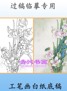 N214兰花蛐蛐花鸟工笔画白描底稿白纸线描国画稿条幅