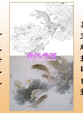L21鲤鱼工笔画熟宣纸白描底稿线描画稿可直接上色横幅
