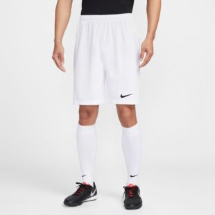 耐克（NIKE）短裤男25爆款速干透气轻薄篮球运动健身速干裤IB8654