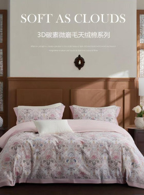 床单款四件套纯棉3D碳素磨毛北欧