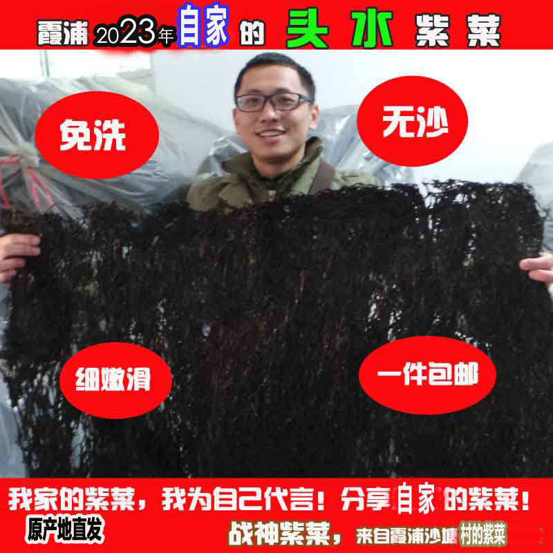 2025年自家精挑头水宝宝紫菜战神霞浦福建紫菜海产干货野生半斤