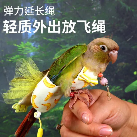 放飞绳鸟用神器用品飞行背带遛鸟虎皮牡丹牵引绳外出鹦鹉玄凤玩具