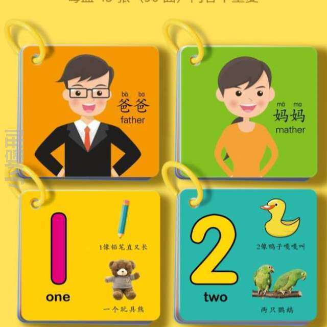 益智人物图识物儿识字认识*婴幼儿早教育儿童卡片书玩具宝宝看