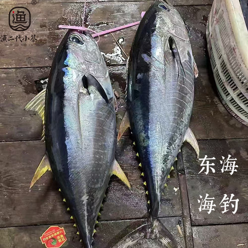新鲜海钓蓝鳍黄鳍金枪鱼刺身级顺丰免费帮切购买方式请看详情页
