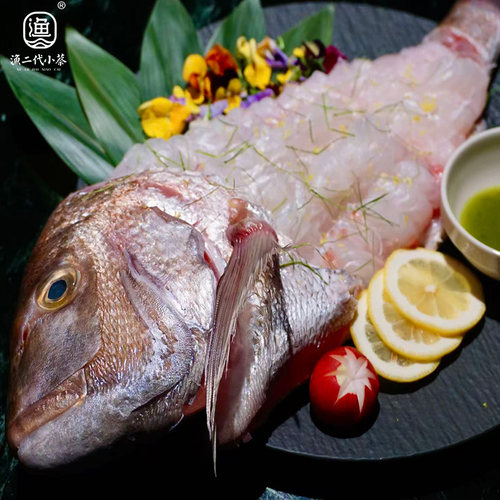 活缔放血冰鲜真鲷鱼 红加吉鱼 铜盆鱼刺身级非金枪鱼顺丰特快