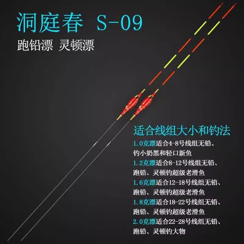 新款洞庭春彩绘纳米五目硬尾漂