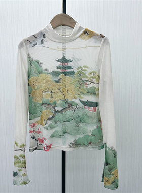 fei●2025秋季新 网纱打底衫女轻薄内搭修身显瘦长袖t恤上衣7214