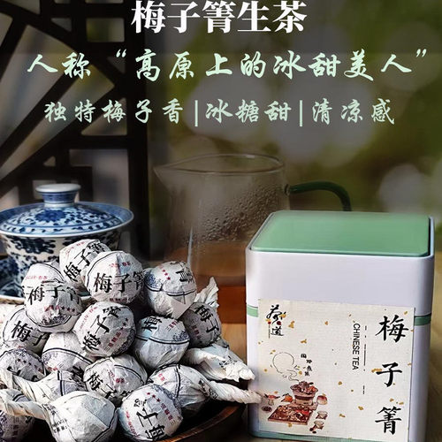 梅子菁生茶龙珠2023年古树春茶料
