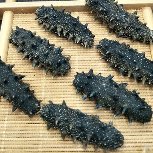 辽参 海参淡干 大连货