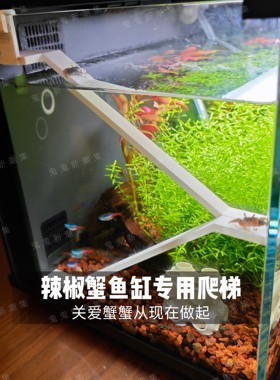小米鱼缸专用辣椒蟹两栖楼梯滑梯爬梯平台透气