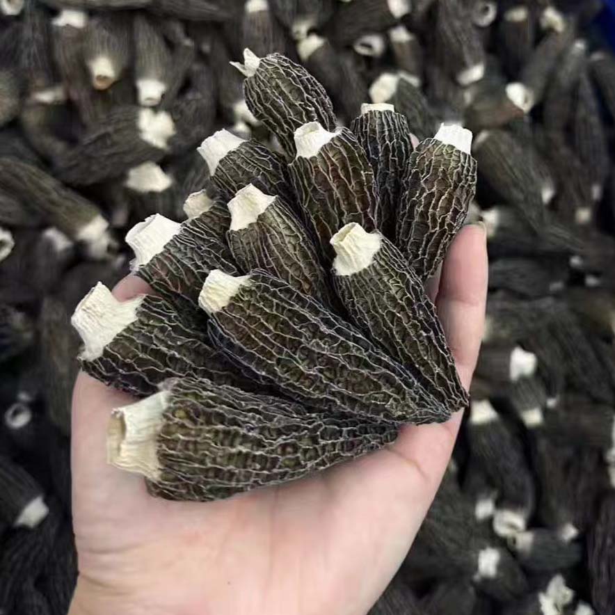 商用羊肚菌干货500g新鲜云南特产羊肚菇干蘑菇特级全剪柄送礼盒装
