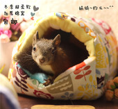 蜜袋鼯·飞鼠·魔王松鼠·刺猬 包邮 冬季 加厚·加绒 棉窝 TEEMO
