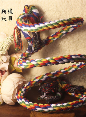 TEEMO 松鼠 蜜袋鼯 飞鼠【笼内爬绳-可自由造型】