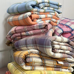 单人双人春秋被 超柔软水洗棉夏被 冬被 白菜价清仓处理 刘大姐家